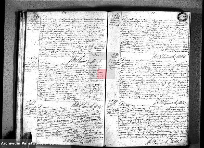 image.from.unit.number "Księga duplikat znajdująca się w trzech oddzielnych tomach to jest urodzonych, zaślubionych i umarłych parafii katolickiej Sereje z roku 1845"