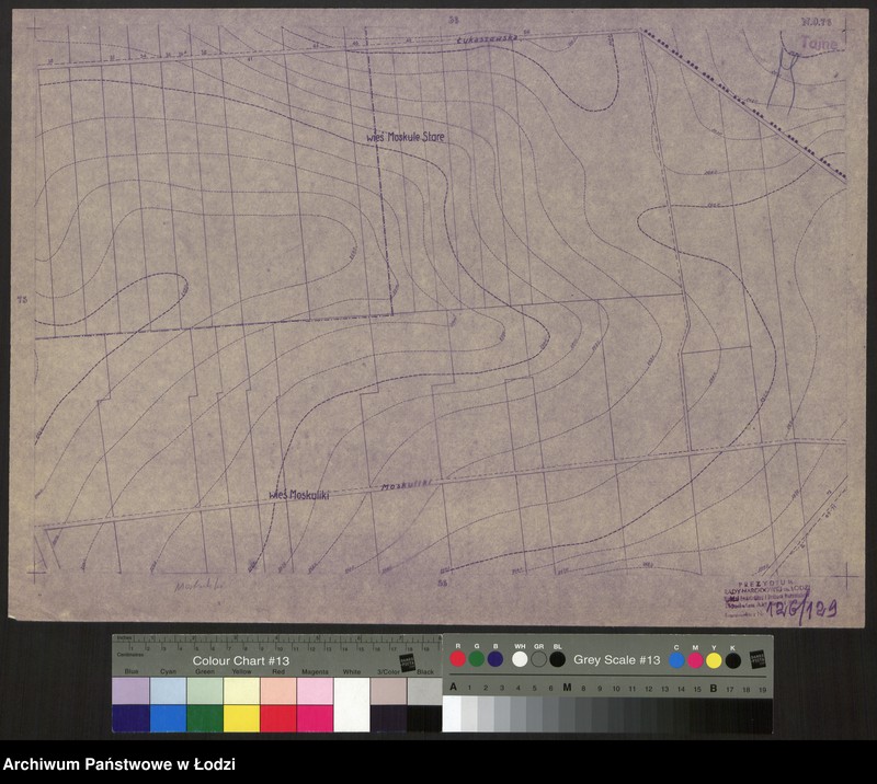 Obraz 1 z jednostki "Plan miasta Łodzi. Sekcja NO 76"