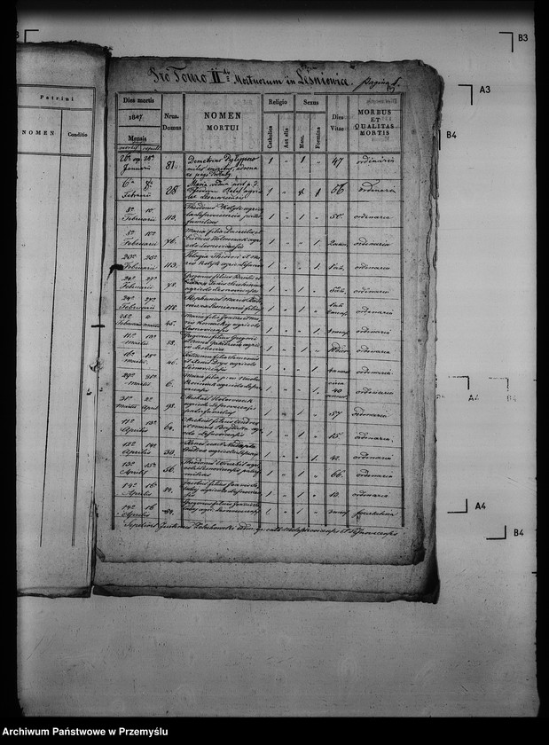 Obraz 20 z jednostki "[Kopie ksiąg metrykalnych parafii Mołoszkowice z filią Leśniowice (dekanat Jaworów)]"