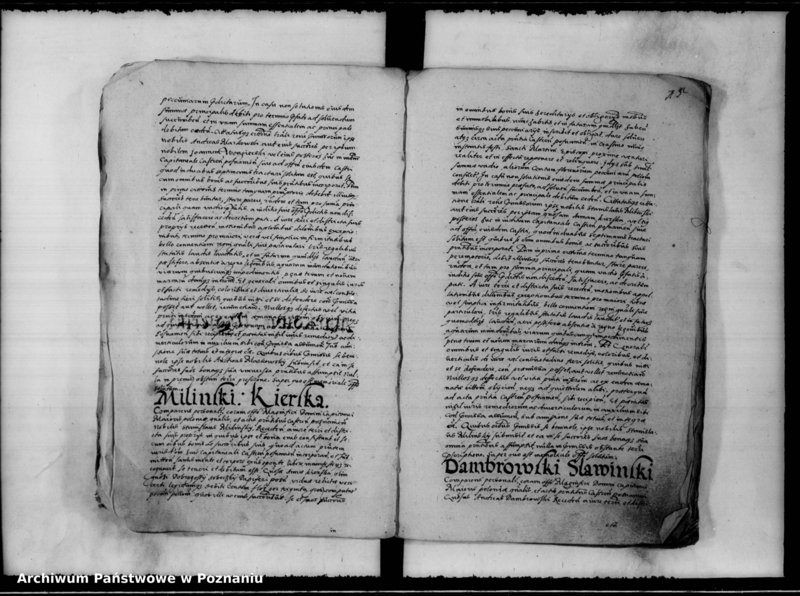 Obraz 19 z jednostki "Inscriptiones, relationes [inducta]"