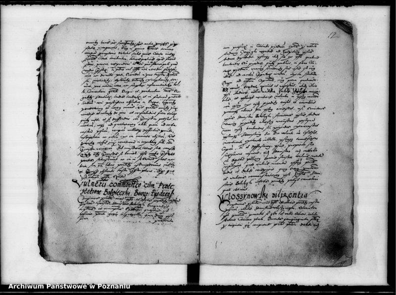 Obraz 16 z jednostki "Inscriptiones, relationes [inducta]"