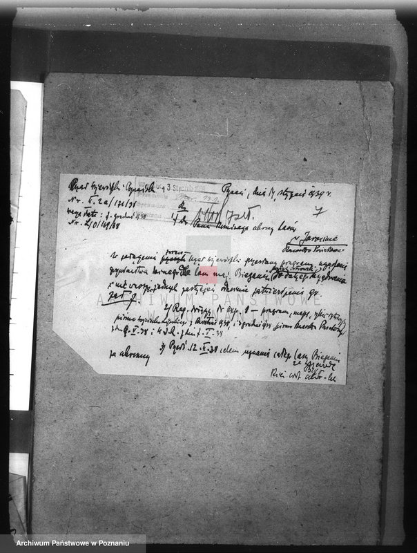 Obraz 11 z jednostki "Las majętności Bieganin powiat obornicki"