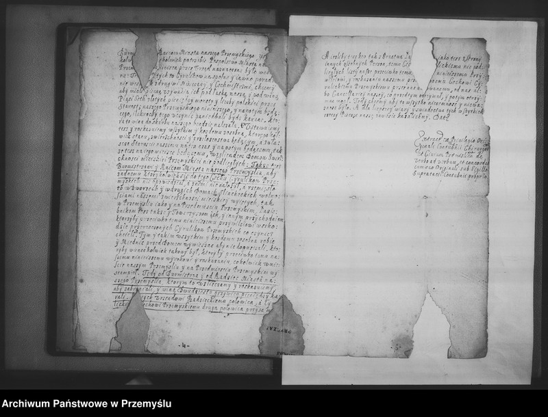 Obraz 11 z kolekcji "Cech cyrulicki i aptekarski w Przemyślu111"