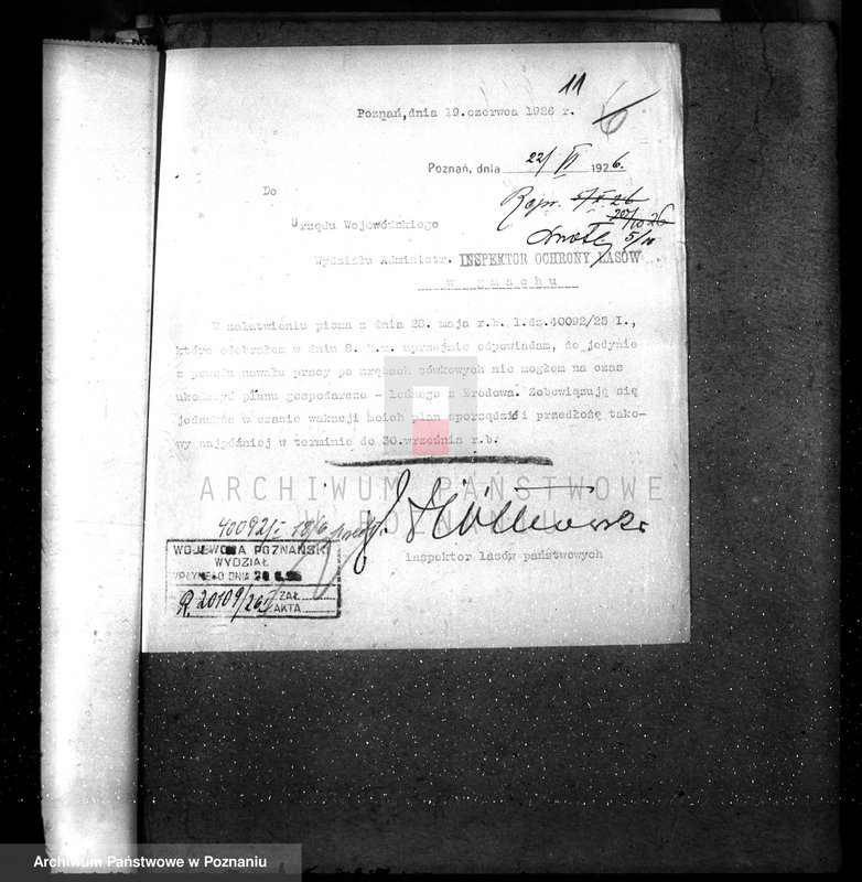 Obraz 15 z jednostki "Majętność leśna Brodowo powiat średzki"