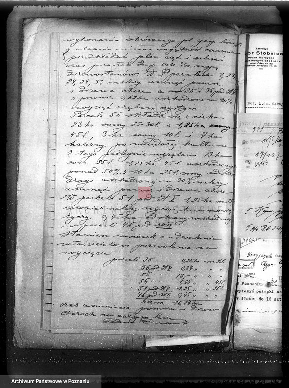 image.from.unit.number "Majętność leśna Stobnica powiat obornicki"