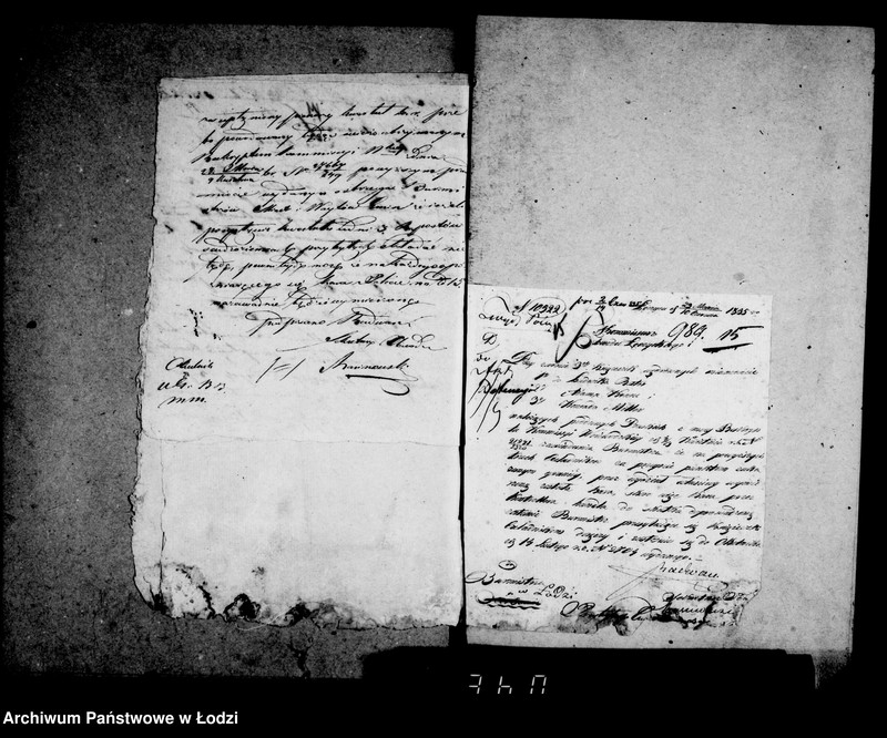 Obraz 20 z jednostki "Akta tyczące się zdawania rapportów o przybywających do miasta tutejszego cudzoziemcach"