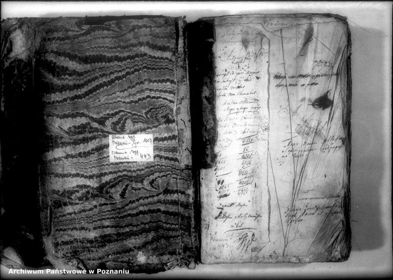 Obraz 3 z jednostki "Relationes [protocollon]"