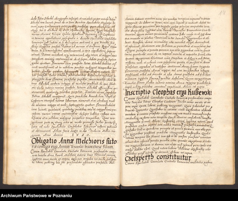 Obraz 18 z jednostki "Acta coram spectabilis consulatu Posnaniensi."