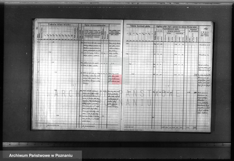 image.from.unit.number "Plan urządzenia gospodarstwa leśnego dla lasu majątku Lubosz powiatu międzychodzkiego 1936-1946"