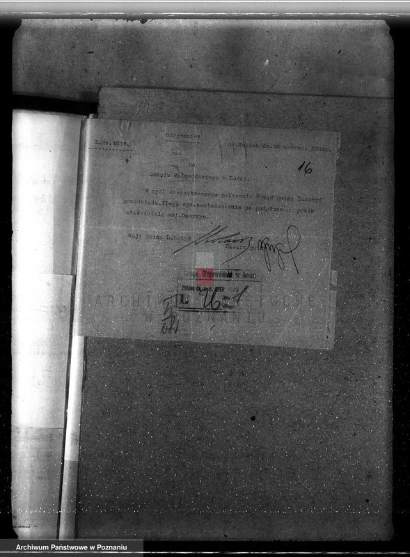 Obraz 19 z jednostki "Sprawa zmiany rodzaju użytkowania 25,47 ha gruntów leśnych w majątku Ozorzyn dla celów parcelacji powiat kolski"