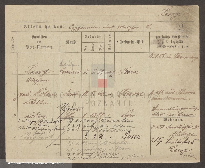 Obraz 10 z jednostki "Lewy - Libeke"