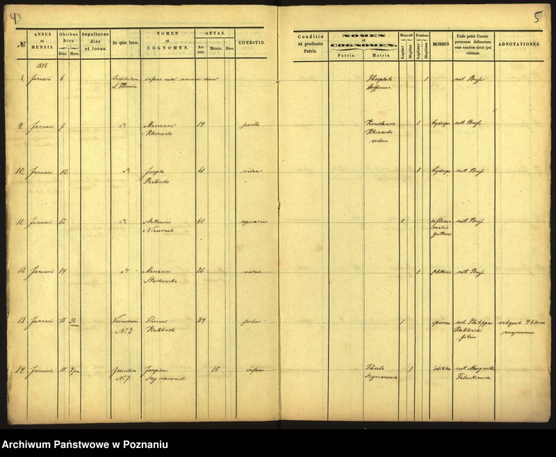 Obraz 5 z jednostki "Księga zgonów"