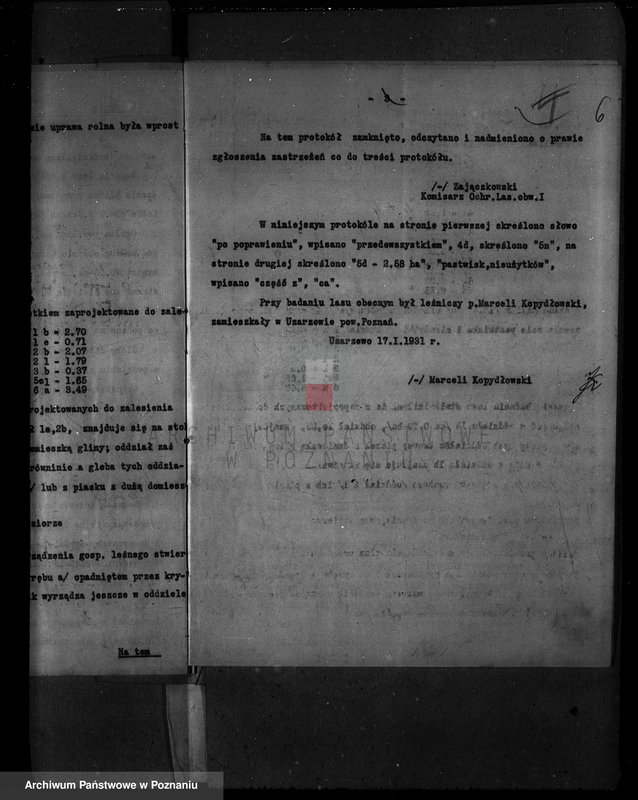 Obraz 10 z jednostki "Majętność leśna Uzarzewo powiat poznański"