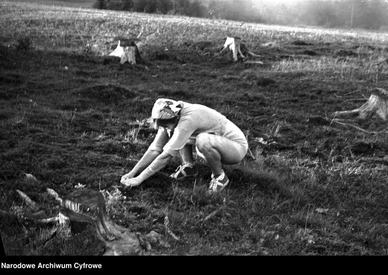 Obraz 19 z jednostki "Podróż pociągiem na Podhale z Krakowa przez miejscowość Tunel"