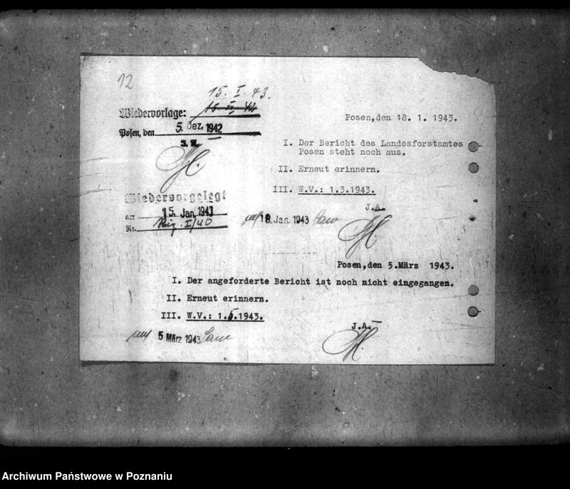 Obraz 18 z jednostki "Polizeiverordnung zum Schutze der Feldfrüchte und der Walderzeugnisse"