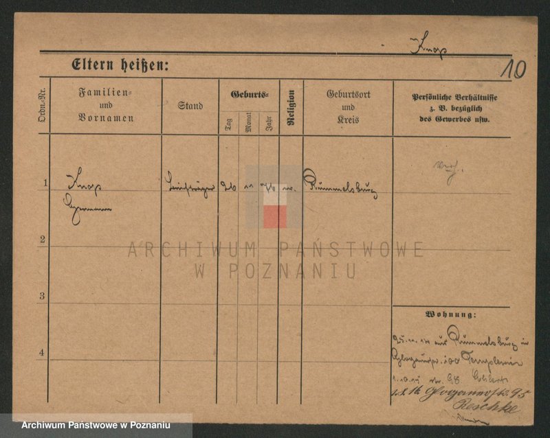 Obraz 10 z jednostki "Knop - Knytel"