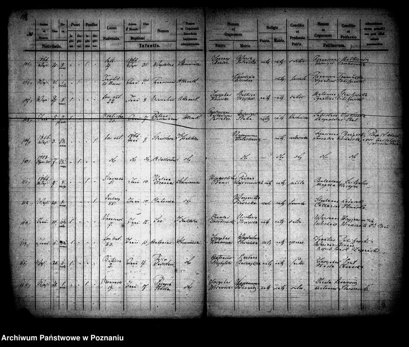 Obraz 11 z jednostki "Księga urodzin"