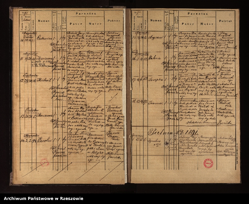 image.from.unit.number "Księga urodzeń, małżeństw i zgonów dla miejscowości Nowotaniec, Nadolany, Nagórzany, Pielnia, Wola Sękowa, Wola Jaworowa, Puławy"