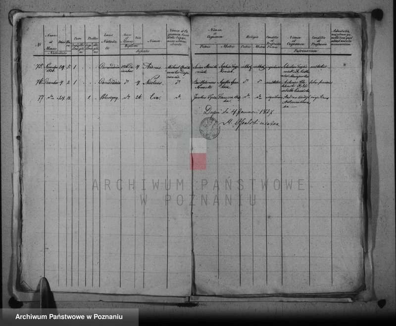 image.from.unit.number "Duplikat baptisatorum, copulatorum, mortuorum"