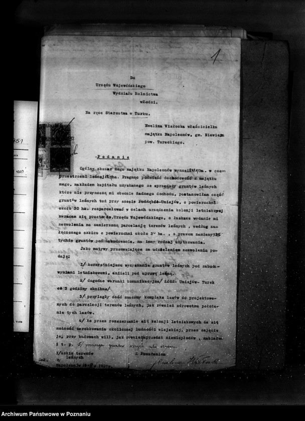 Obraz 5 z jednostki "Las majątku Napoleonów nr 1 własność Eweliny Wisłockiej powiat turecki"