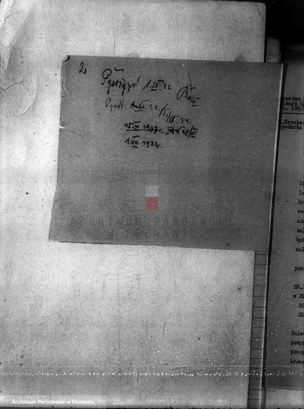 Obraz 6 z jednostki "Las majętności Bieczyny powiat kościański"