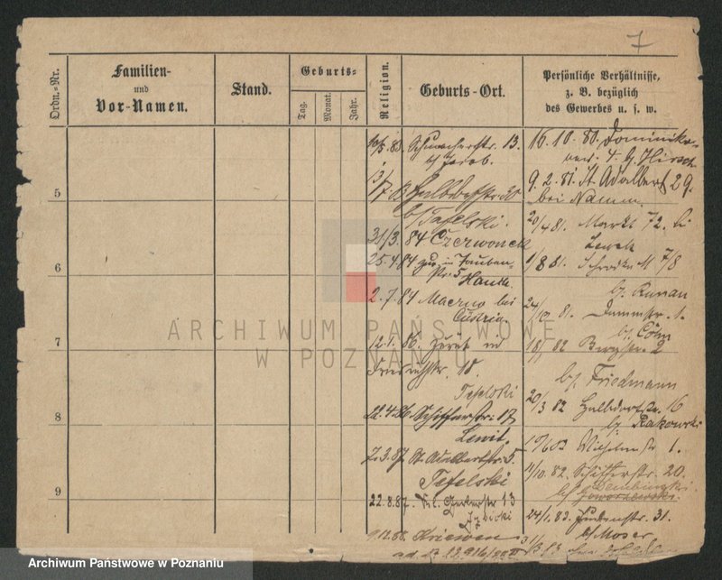 Obraz 7 z jednostki "Herman - Hermyła"