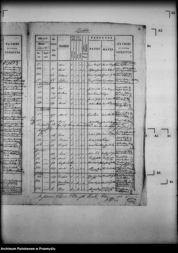 Obraz 20 z jednostki "[Kopie ksiąg metrykalnych parafii Dobra (dekanat Sieniawa)]"