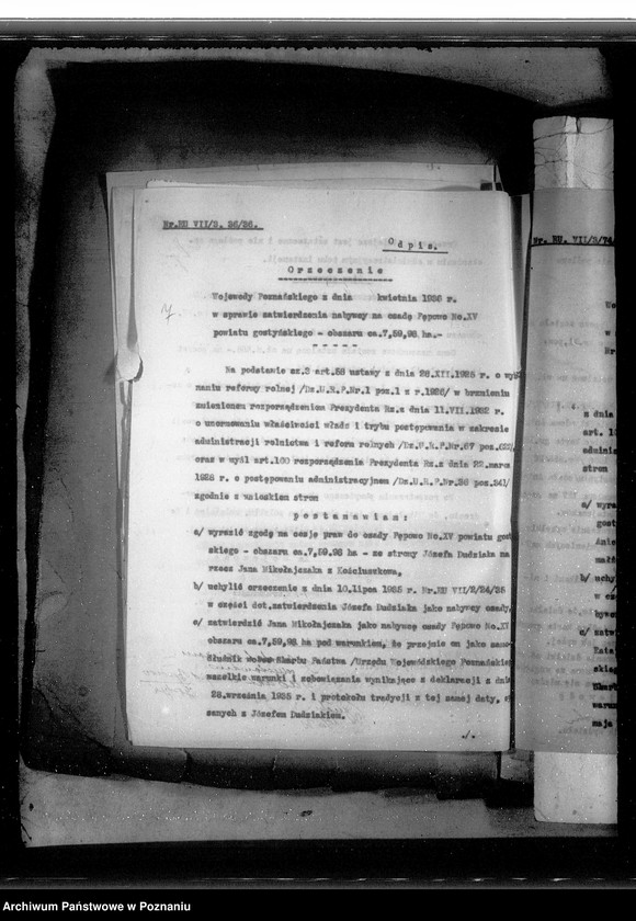 Obraz 11 z jednostki "Postępowanie techniczne przy parcelacji majątku Pępowo powiatu gostyńskiego"