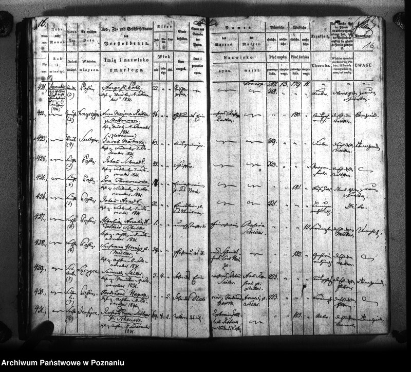 Obraz 19 z jednostki "Sterbenbuch"