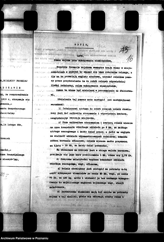 Obraz 20 z jednostki "Konie wojskowe dla ludności cywilnej"