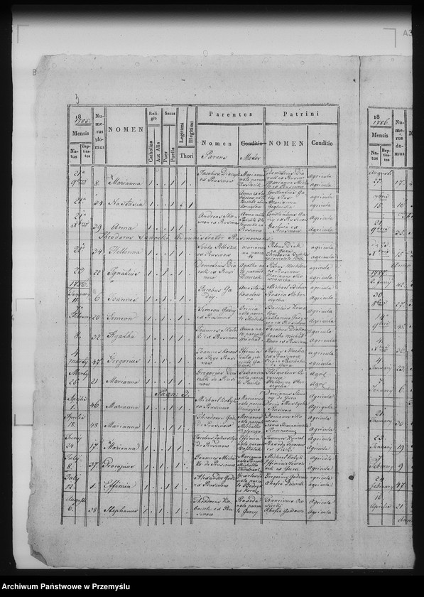 Obraz 7 z jednostki "[Kopie ksiąg metrykalnych parafii Bełz z filiami Prusinów, Tuszków, Witków (dekanat Bełz)]"