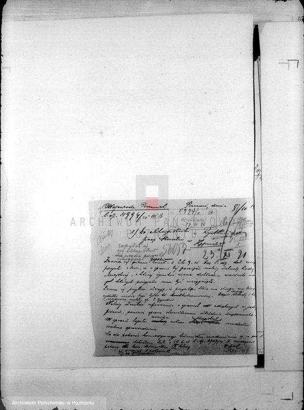 Obraz 11 z jednostki "Administracja miasta Rychwał"