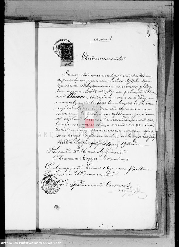 image.from.unit.number "Dokumenty o brakosočetavšichsja evrejach Miroslavskogo Božničnogo Okruga za 1903 god"