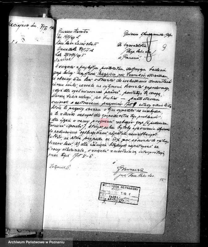 Obraz 13 z jednostki "Nadzór nad lasami majętności Maciejewo w powiecie czarnkowskim"