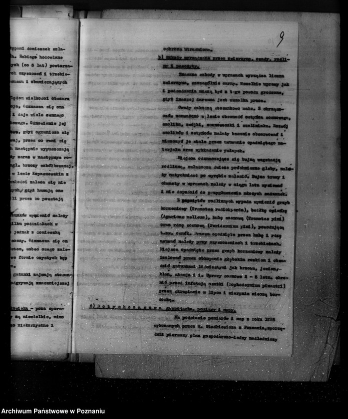 Obraz 12 z jednostki "Plan urządzania gospodarstwa leśnego dla lasu majętności Kopaczewo- Rogaczewo powiat kościański"