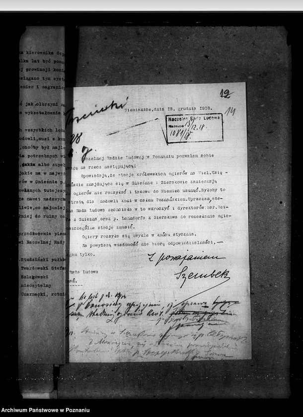 Obraz 20 z jednostki "Sprawy ogólne stadnin"