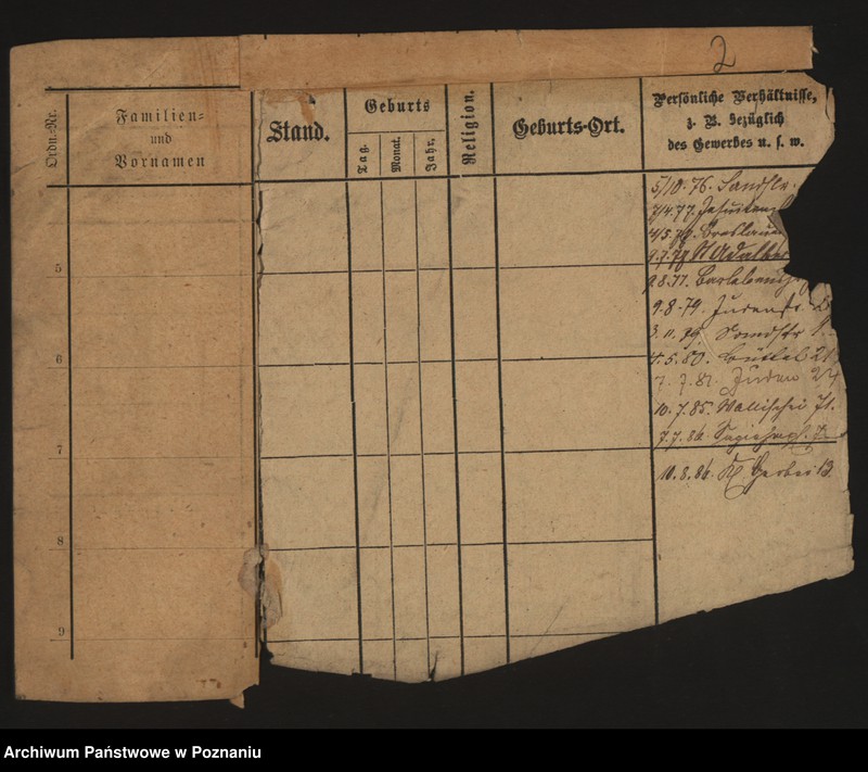 Obraz 8 z jednostki "Szwarc (żonaci i wdowy)"