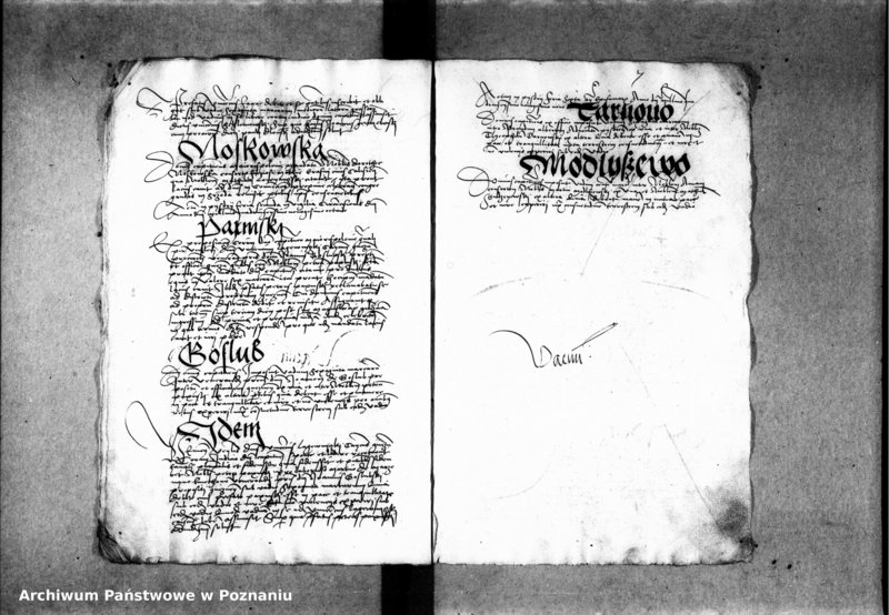 Obraz 13 z jednostki "Inscriptiones, relationes, decreta [inducta]"