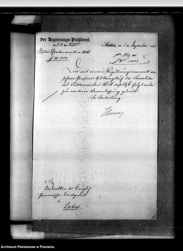 Obraz 9 z jednostki "Akta betr. fuer Anstellung und Versetzungen der Gestuet - Beamten."