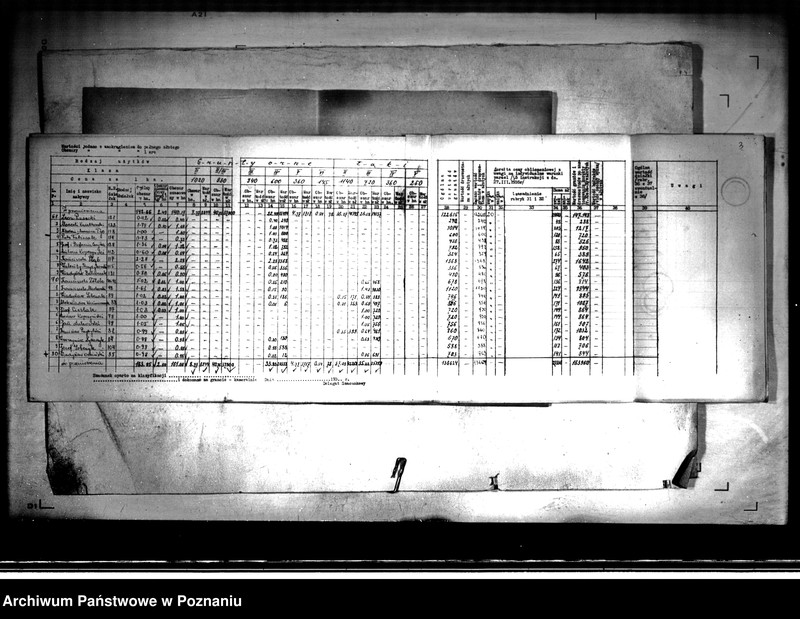 Obraz 7 z jednostki "/Zestawienie oszacowania działek parcelowanego majątku Kopojno"