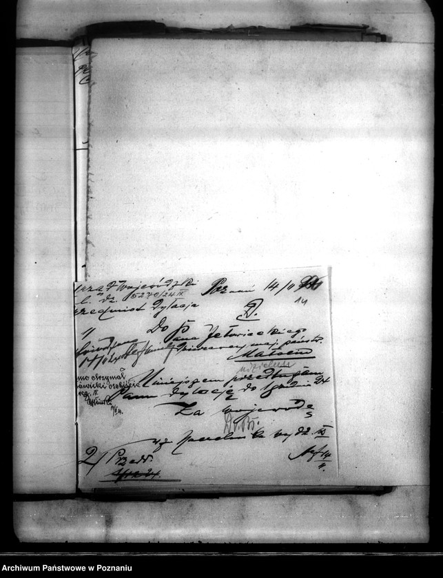 Obraz 19 z jednostki "Administracja majątku Małocin powiatu wyrzyskiego spłata czynszów dzierżawnych"