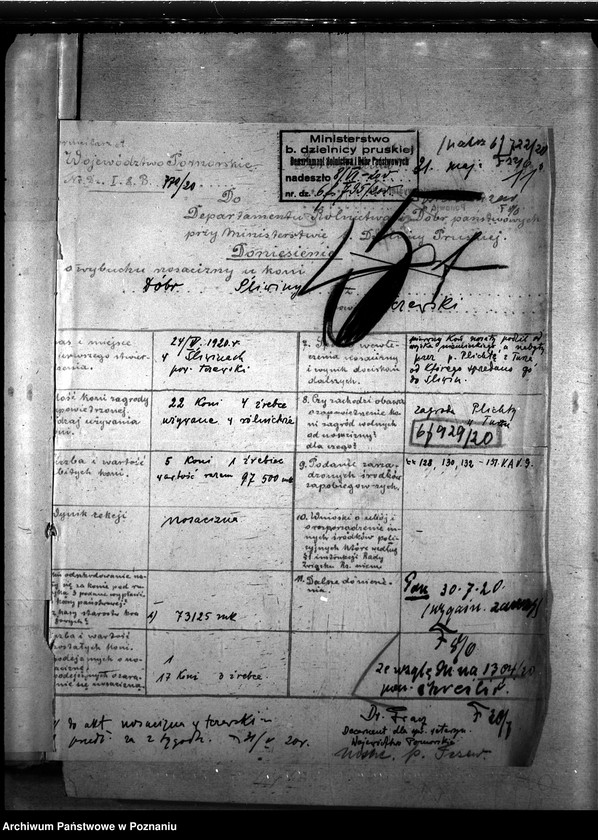 Obraz 15 z jednostki "Nosacizna - Tczew"