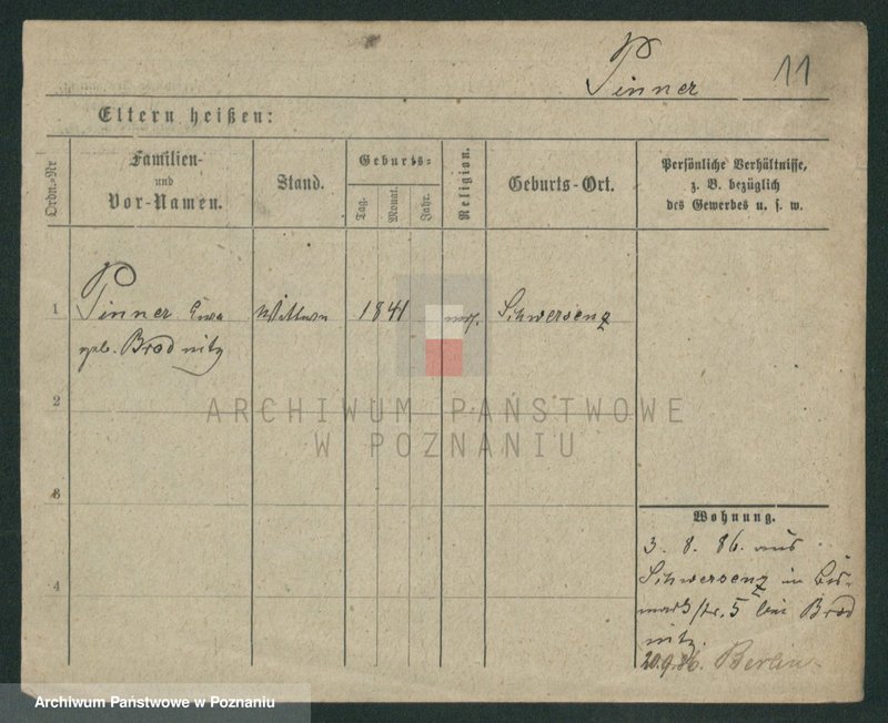 Obraz 11 z jednostki "Pinecki - Piotr"