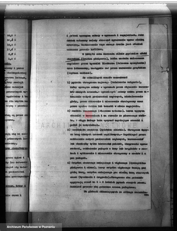 Obraz 9 z jednostki "Majątek Lutom w powiecie międzychodzkim 1930-1940 Plan urządzenia gospodarstwa leśnego"