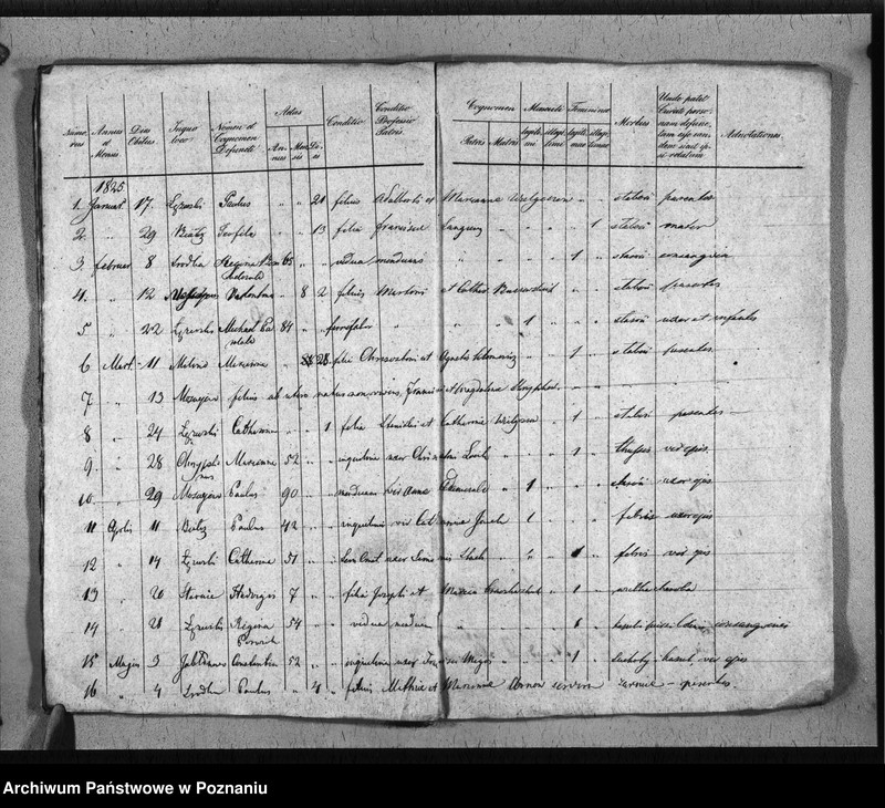 Obraz 13 z jednostki "Duplikat baptisatorum, copulatorum, mortuorum"
