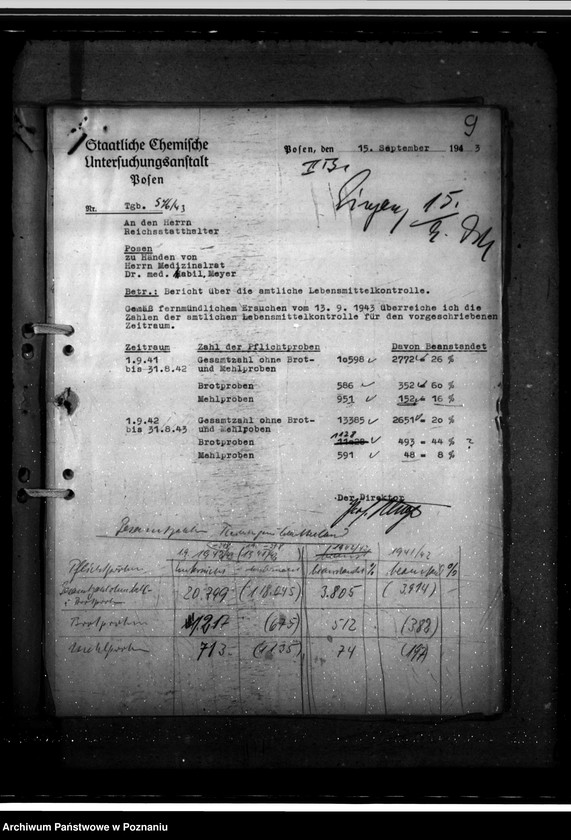 Obraz 14 z jednostki "Programm "Tag der Freiheit" - Leistungsbericht"