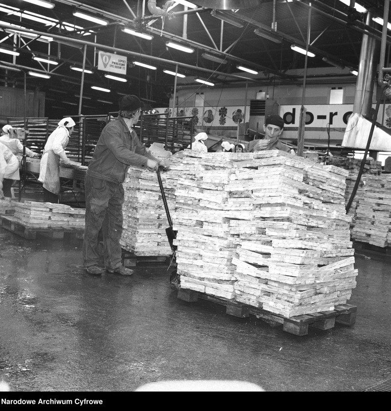 Obraz 14 z jednostki "Zakład produkcyjny Przedsiębiorstwa Handlu Zagranicznego "Hortex" w Płońsku"