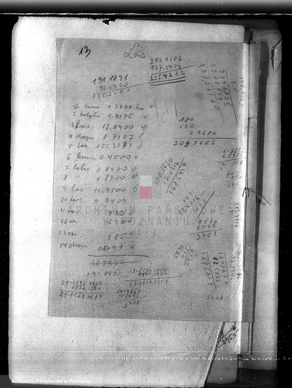 Obraz 17 z jednostki "Majętność Biskupiec powiat koniński /sprawa ustalenia granicy lasu/"