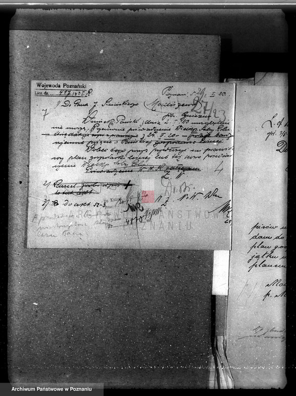 Obraz 10 z jednostki "Nadzór nad gospodarką w lasach majętności Modliszewo powiecie gnieźnieńskim"