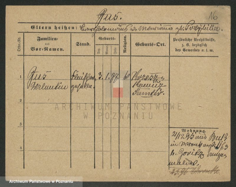 Obraz 16 z jednostki "Jus - Józefowicz"